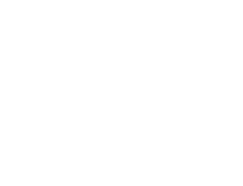 E-Force Gaming